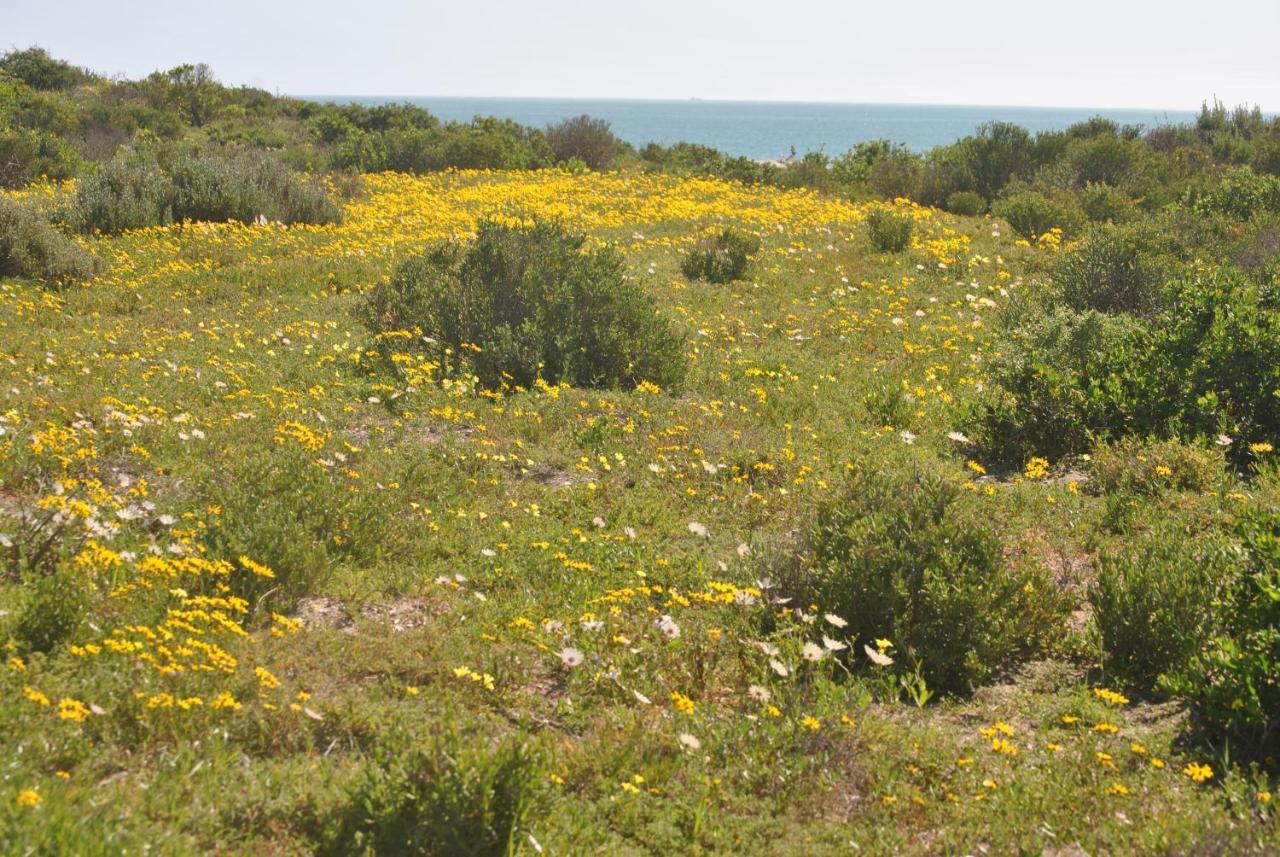 Stay At Bokkoms In Paternoster Self Catering Accommodation Eksteriør bilde