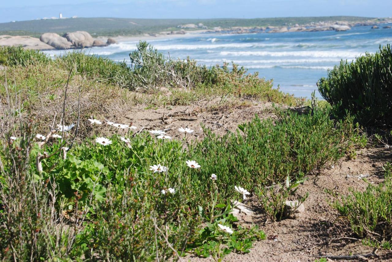 Stay At Bokkoms In Paternoster Self Catering Accommodation Eksteriør bilde