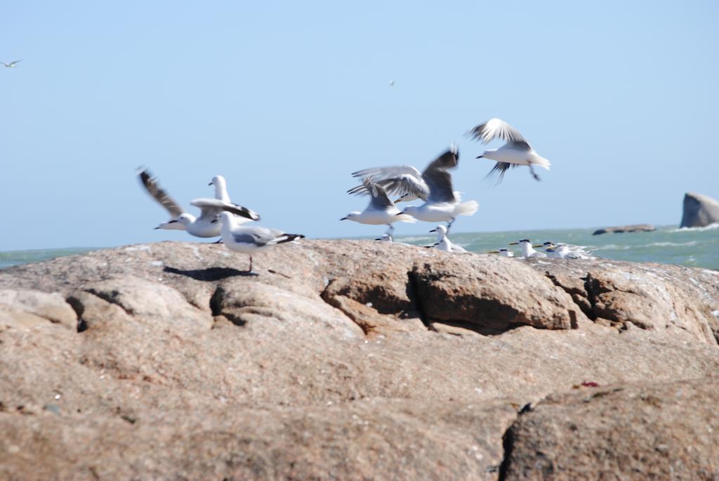 Stay At Bokkoms In Paternoster Self Catering Accommodation Eksteriør bilde